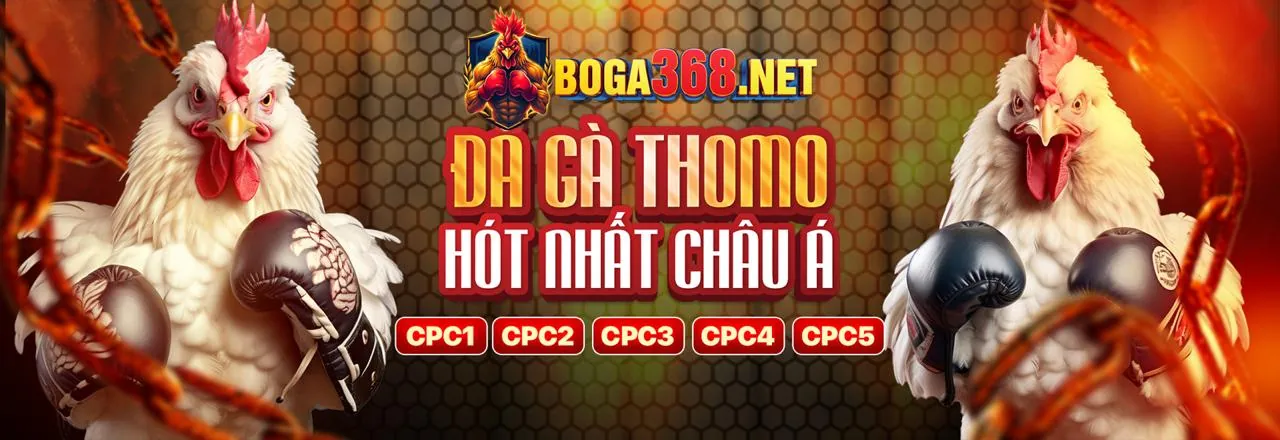 Khái niệm Cookie và cách VIP79 Code sử dụng