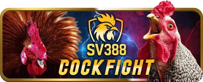Dịch vụ chăm sóc khách hàng ưu tiên vip79 code